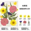 Marcador de Flores Secas Espécimen de Planta Película Selladora Botella Flores Prensadas Recolectadas en Otoño Material Hecho a Mano DIY Flor Transparente