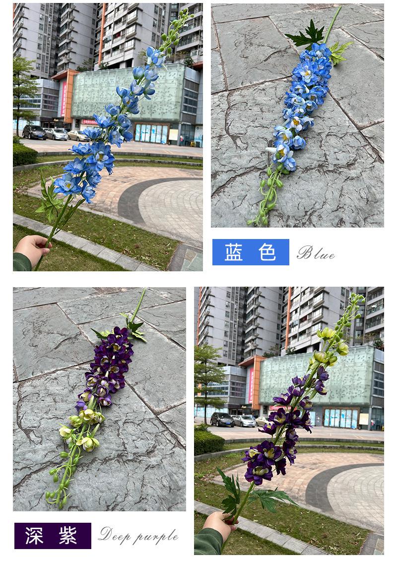 聚美-肯尼亚大飞燕草-详情_12.jpg