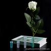 Tubo para Conservar Flores, Tubo para Almacenar Agua de Flores, Nutrición para Flores, Arte Floral, Suministros para Floristería, Ramo, Florales Exquisitos