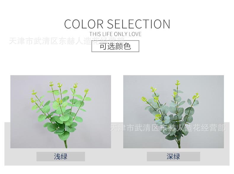 详情_02.jpg