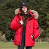 Jaqueta de Penas Casual Tendência Estilo Americano para Homens e Mulheres, Casaco Parka Simples com Capuz, Jaqueta de Penas Versátil Quente de Inverno