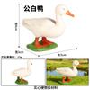 Fazenda Rancho Educação Infantil Crianças Modelo Animal Aves Simulação Animal Ganso Cisne Branco Galinha Pato Coelho Conjunto