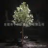 Árbol del Dinero simulación planta de eucalipto decoración de interior bonsái simulación árbol del dinero fabricante en stock generación