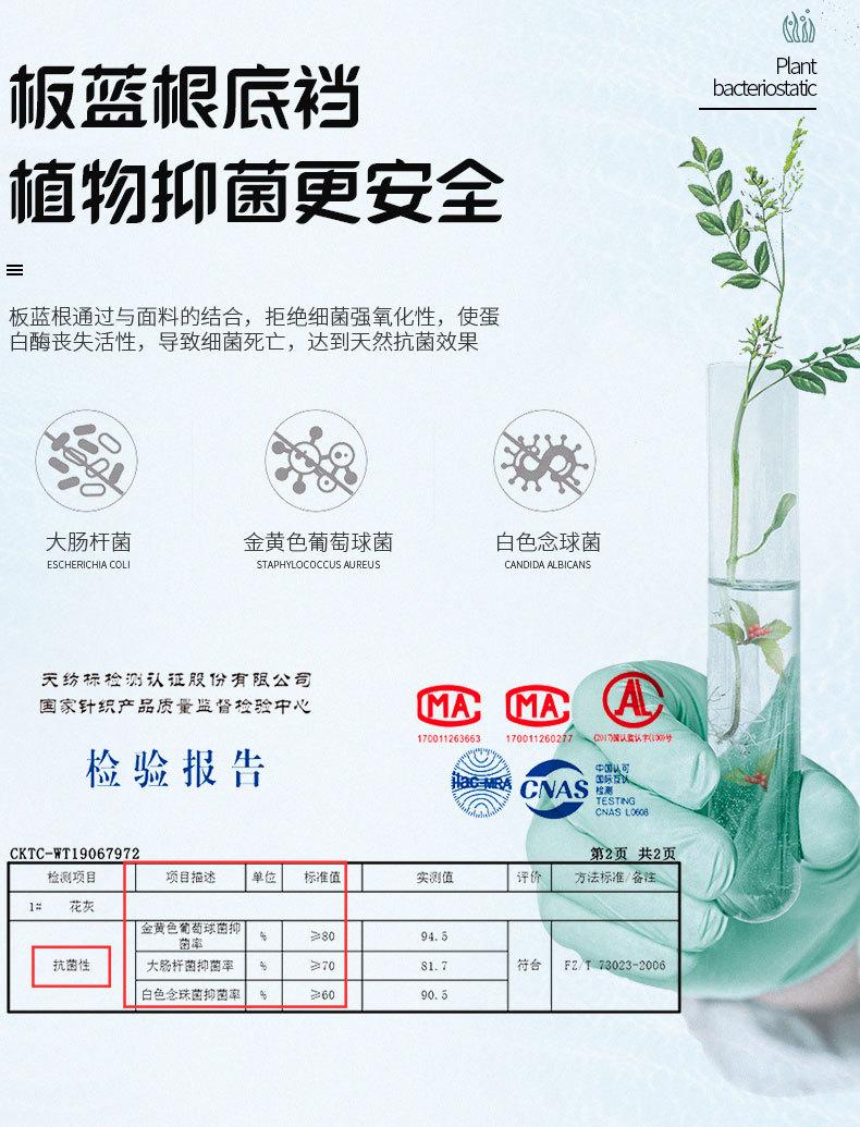 板蓝根内裤_06.jpg