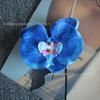 Cabeza de Flor de Phalaenopsis Flor Artificial Hecha a Mano DIY Accesorios para Ramo Decoración de Boda Paisajismo Muebles para el Hogar Venta al por Mayor Transfronteriza