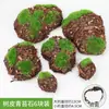 Grama Artificial, Musgo Falso, Materiais de Decoração DIY para Micro-Paisagem de Suculentas, Grama Flockada, Musgo