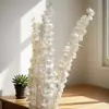 Folhas de Eucalipto Eternas, Flores Secas, Buquês Branqueados, Folhas de Eucalipto, Enfeites para Decoração de Casa, Presentes Atacado para o Festival Qixi