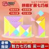 Tangram Magnético Puzzle Intelectual Materiales Didácticos de Matemáticas para Preescolar y Estudiantes de Primer y Segundo Grado de Primaria con Puzzles Educativos para Niños