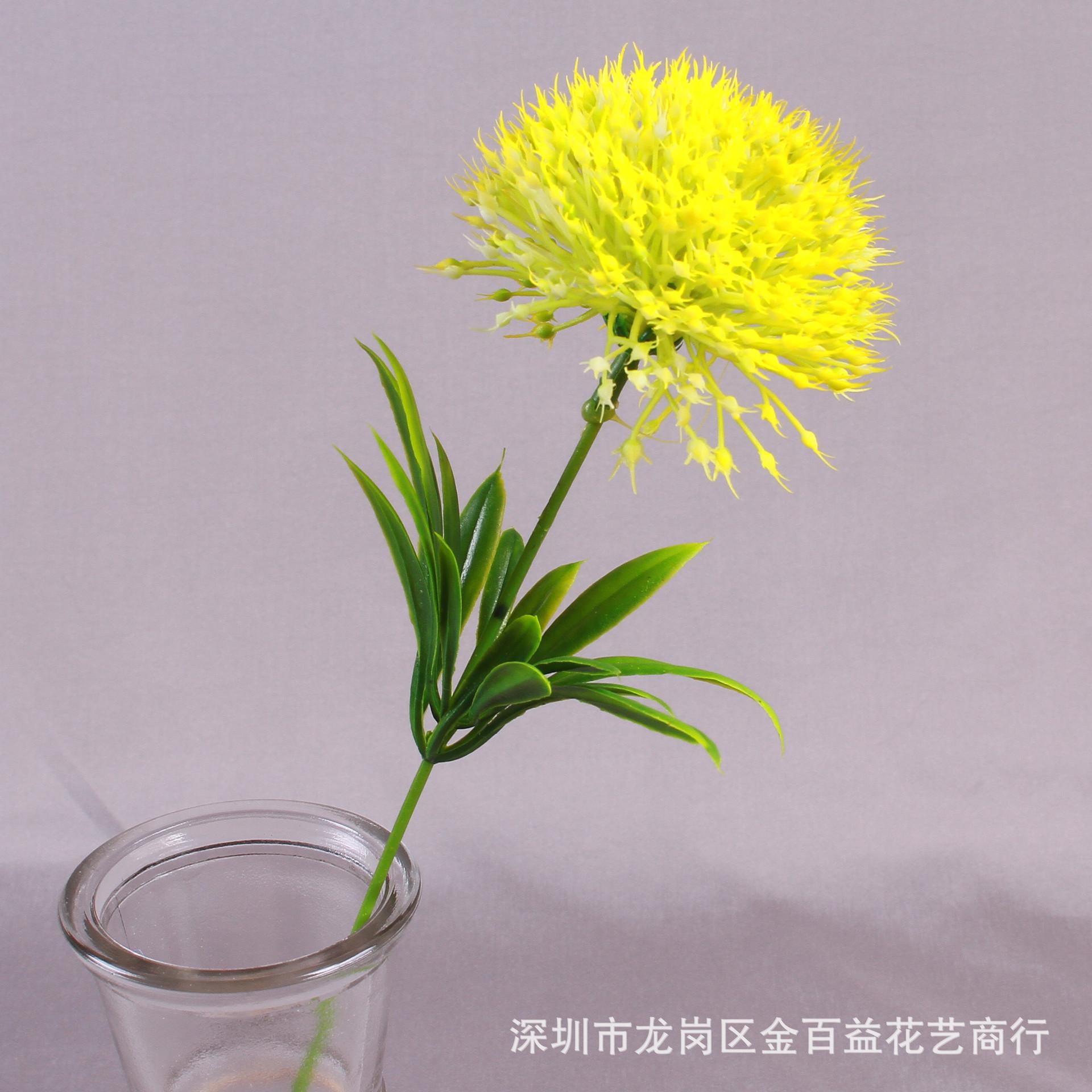 IMG_8547_副本.jpg