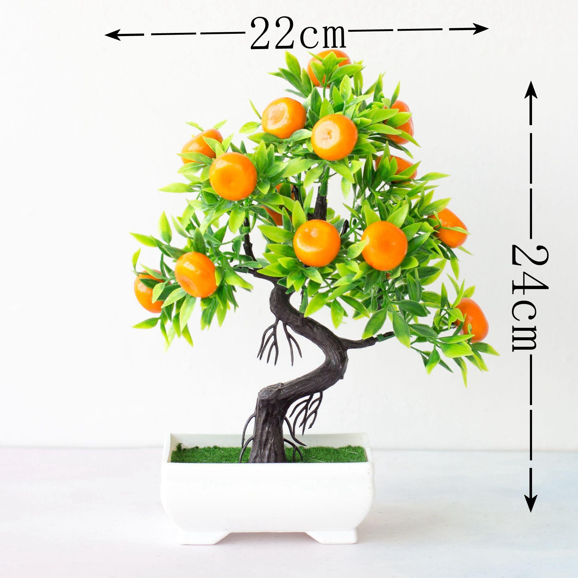 IMG_1419 - 副本.jpg