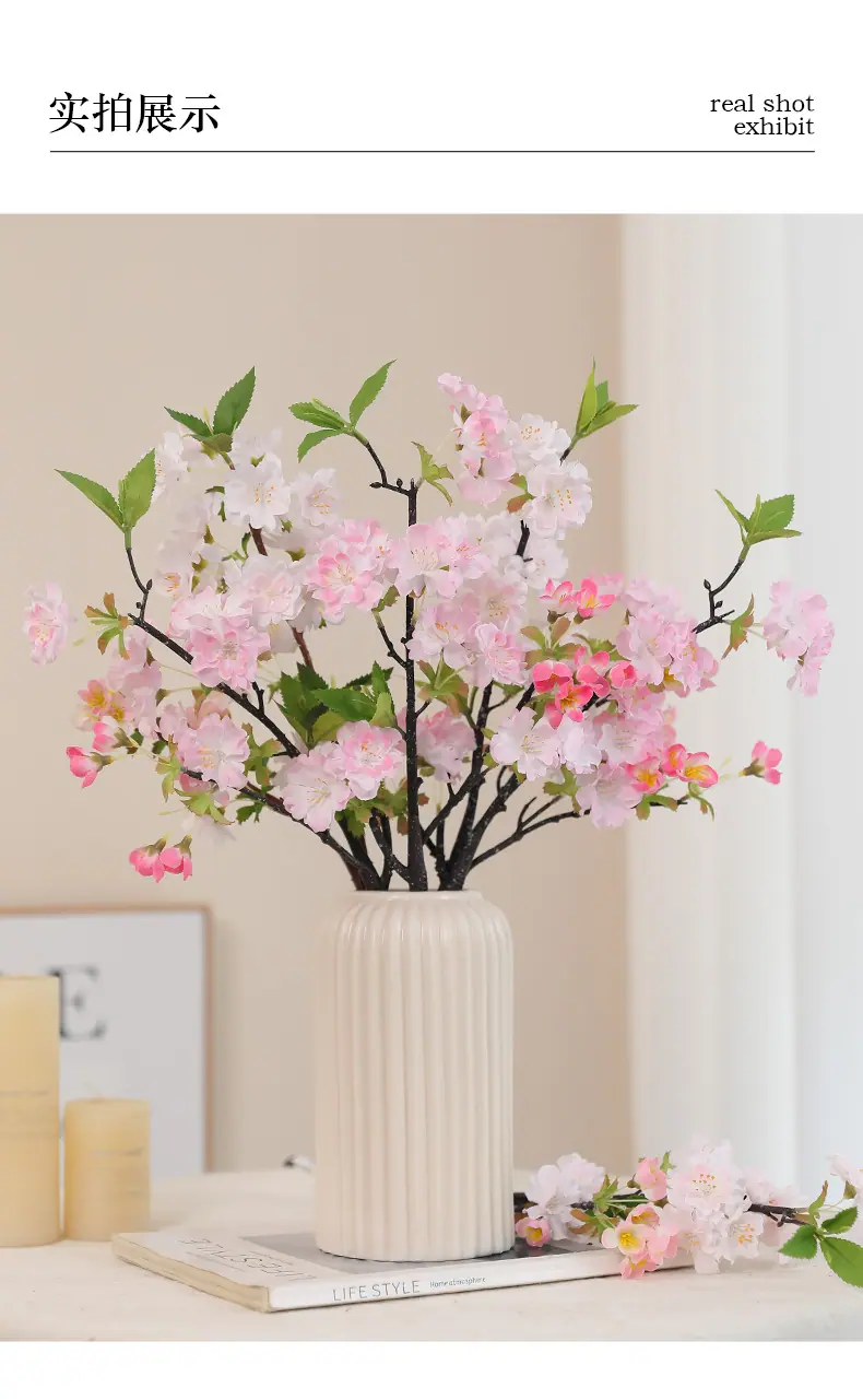 单枝小号好韵樱花-少花_05.jpg