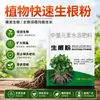 Potente polvo enraizante, adecuado para diversas flores, árboles frutales y plántulas; se usa para trasplante, cultivo de plántulas y enraizamiento rápido de esquejes; también adecuado para la propagación de rosas
