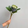 Flores Imperiais Artificiais de Alta Qualidade, Flores Princesa Sul-Africanas, Decoração de Casa, Enfeites para Sala de Estar, Flores Decorativas para Fotografia de Casamento