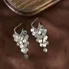 Pendientes de Aguja para Oreja con Lentejuelas, Flecos y Escamas de Pescado, Placa para Incienso de Mosquito, Pinza para Oreja, Pendientes de Moda con Estilo Avanzado de Metal Pesado