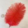 Accesorios de plumas de avestruz de varilla fina de 20 a 25 cm, accesorios para prendas de vestir, accesorios de plumas naturales, coloridos