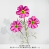 3 Cabezas de Flores de Cosmos para Salón de Ceremonia de Boda, Decoración de Fondo de Pared de Flores, Montaje de Banquete de Compromiso, Flores Artificiales, Decoraciones de Banquete de Boda