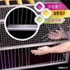 Equipo de Puerta para Jaula de Palomas, Trampa Automática para Palomas, Atrapador Automático por Colisión, Jaula para Palomas Totalmente Automática