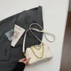 Bolso de cadena transfronterizo de nicho con patrón de diamante para mujer, nuevo bolso de mano versátil versión coreana para la primavera de 2026, bolso de hombro y cruzado