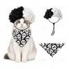 Peruca Afro Divertida Bicolor para Pets Peruca Cacheada de Palhaço Universal para Gatos, Cachorros e Patos para Festas de Feriado e Sessões de Fotos