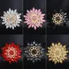 Broche de Acrílico da Moda para Mulheres, Alfinete Eletrodepositado em Liga, Broche Acessório de Roupa
