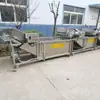 Fabricantes fornecem máquina integrada de limpeza e branqueamento de repolho linha de montagem contínua de fixação de vegetais equipamento