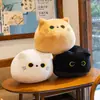 Peluche Muñeco Almohada Gato Negro Transfronterizo Lindo Lindo Lindo Gatito Juguete para Niños Amazon Regalo Precio de Fábrica