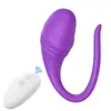 Control remoto APP vibrador simulación femenina control remoto vibrador masaje fábrica de suministros para adultos transfronteriza