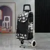 Carrito de Compras de Acero Inoxidable, Carrito Trepador de Escaleras, Carrito Grande Plegable para el Hogar para Personas Mayores, Carrito de Arrastre Manual