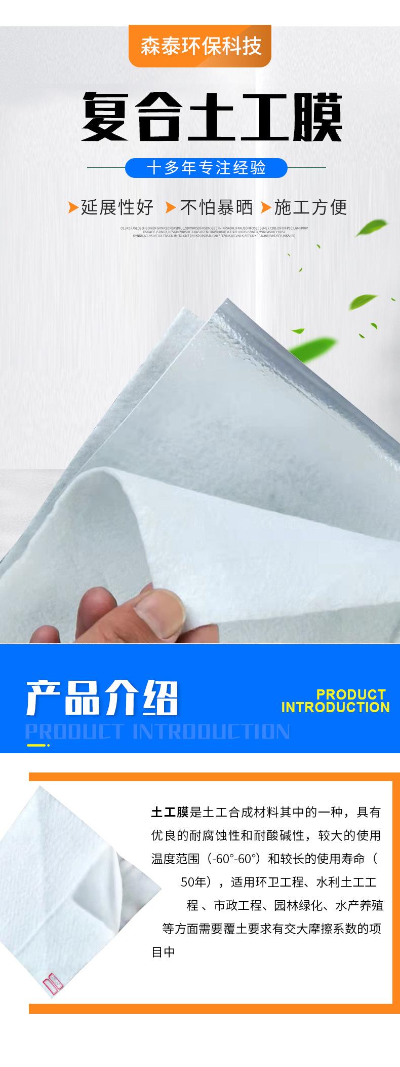 复合土工膜后_04.jpg