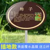 Placa de Introdução de Planta Placa de Árvore Parque Escolar Aço Inoxidável Haste de Inserção no Solo Placa de Informação de Plantio de Árvores Introdução de Árvore