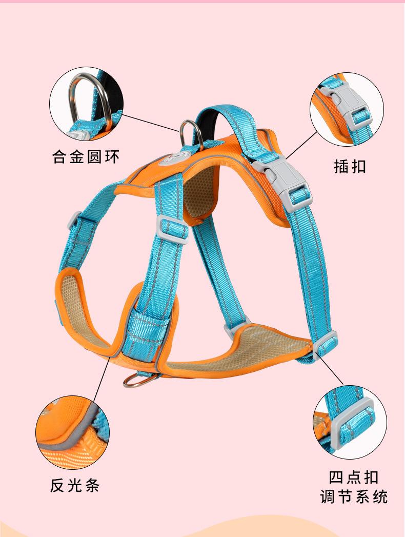 详情页 (4).jpg