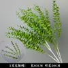 Plantas Verdes, Hierba de Junco, Hierba Bigote de Dragón, Fondo de Boda, Paisajismo de Ventana Floral, Flores Decorativas para Boda en Bosque Blanco y Verde