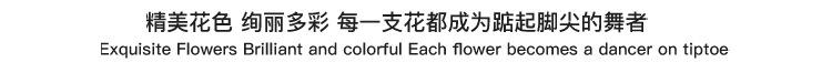 详情-(2)_08.jpg