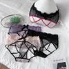 Nuevas Bragas de Encaje Transparentes Huecas de Alta Elasticidad para Mujer Tallas Grandes Pure Desire