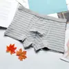 Ropa Interior Rayada para Hombre Joven Algodón Puro Boxers Rayados Blanco y Negro Gris Fabricante Shenghao Mingshi Venta al por Mayor