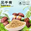 Condimento de Trufa Negra de Yunnan y Hongo de Pollo para Saltear, Sopa y Olla Caliente como Sustituto del Condimento de Esencia de Pollo