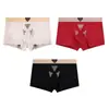 Huajielong Algodão Cor Sólida Roupa Íntima Masculina Atacado Simples Cintura Média Tamanho Grande Respirável Cueca Boxer Masculina Pode Ser Enviado em Nome de Outros