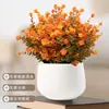 Amazon Plantas Artificiales, Flores Artificiales, Eucalipto Camelia, Decoración de Escritorio de Alta Gama para Bodas, Ramo al por Mayor