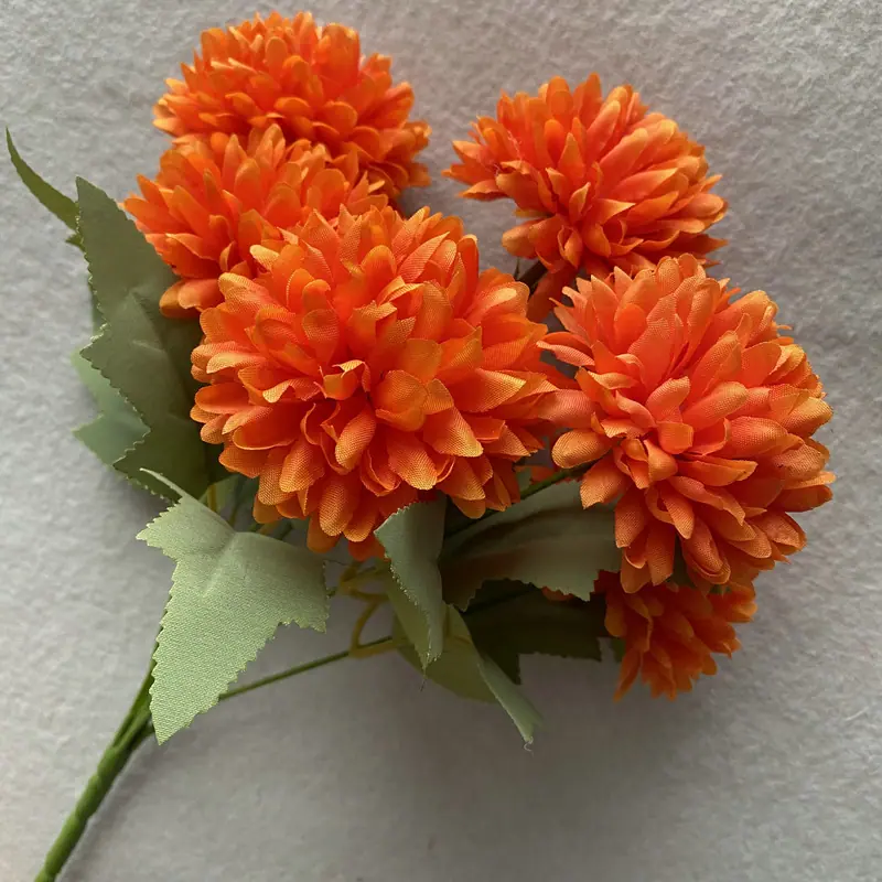 花色桔.JPG