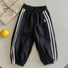 Pantalones para Niños 2025 Primavera y Otoño Nuevo Estilo Pantalones Casuales Bordados para Niños Leggings para Bebés Niños Pantalones Deportivos para Niñas Modernos