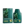 Champú Fortalecedor Capilar Herbal de Hierba de Usman y Polygonum Multiflorum Mejora el Cabello Seco, Encrespado y Esponjoso, Dejándolo Suave y Sedoso, Champú Familiar