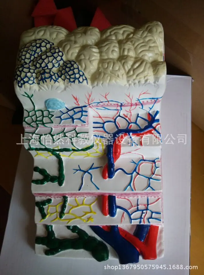 QQ图片20150426101901