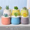 Vaso de flores de cerâmica desenho animado fofo macaroon planta carnuda vaso pequeno Amazon Home Gardening Cactus Pot terno