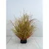 Planta de Hierba de Junco Simulada Personalizada Bonsái Decoración de Ventana Piso Hierba Cola de Perro Heno Césped Cebolla Planta Verde Planta en Maceta
