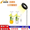 Luz de planta LED espectro total luz solar retrátil anel de anjo USB temporizador dimerização luz de preenchimento para plantas
