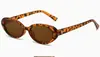 Gafas de Sol Retro Europeas y Americanas de Marco Pequeño Ovaladas Ojo de Gato para Mujer, Nuevo Estilo Callejero de Moda 2026 Gafas de Sol de Gama Alta