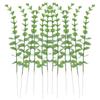 Plantas Verdes Simuladas Transfronterizas Hojas Individuales de Eucalipto Eucalipto Amazon Arreglo Floral Interior Flor Simulada Adornos Decorativos Venta al por Mayor