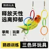 Anillo columpio para loro, periquito, cotorra del sol, juguete de escalada arcoíris, accesorios para jaula de pájaros pequeños para periquito