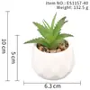 Suculenta Planta Taça de Diamante Bonsai Decoração Casa Escritório Es1178-4 Paisagem em Microfibra Aveludada Mini Alta Simulação