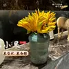 Planta Hidropónica de Bergamota con Ramas, Fruta Fresca, Adornos de Bergamota Fresca, Plantas Verdes de Cultivo en Agua para Interiores, Plantas en Maceta, Arreglos Florales para Decoración